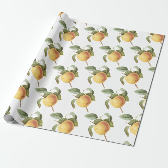 Calville apple Pattern Wrapping Paper (Unrolled)