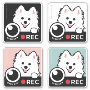 Cam de Dash - Sticker d'enregistrement de chien Sp
