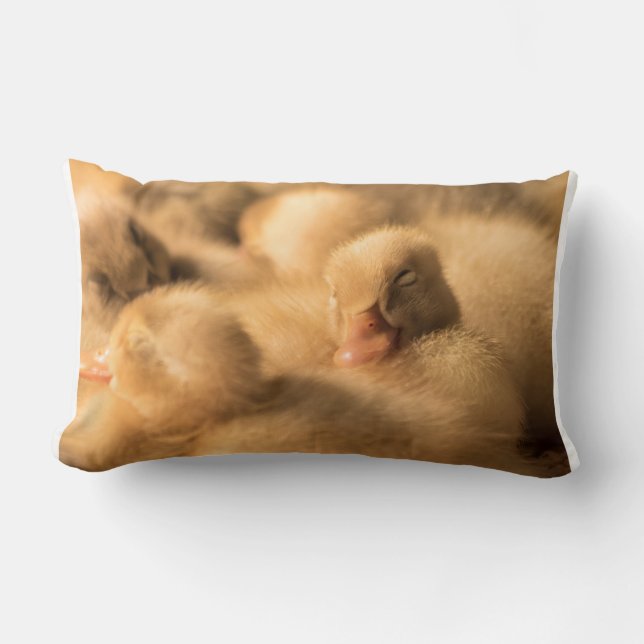 Camaraderie Lumbar Pillow (Front)