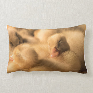 Camaraderie Lumbar Pillow