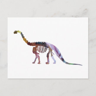 camarasaurus skeleton postcard