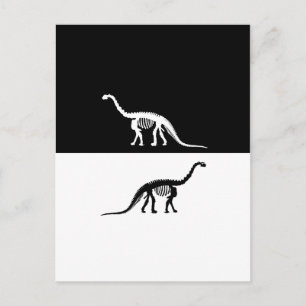 camarasaurus skeleton postcard