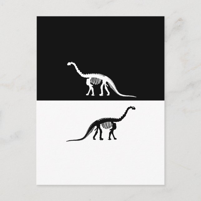 camarasaurus skeleton postcard (Front)