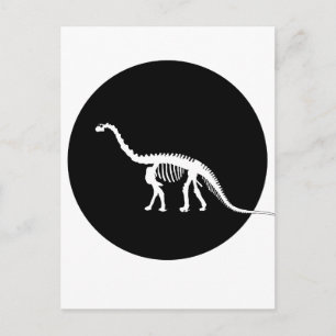 camarasaurus skeleton postcard