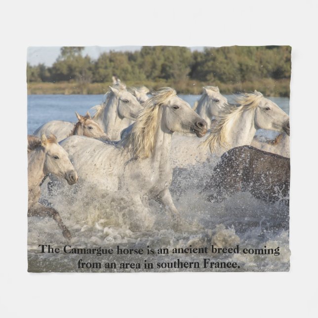 Camargue Horse Ancient Breed Of France Equestrian Fleece Blanket (Front (Horizontal))