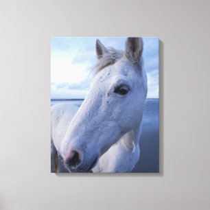 Camargue Horse Canvas Print