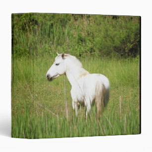 Camargue Horse in the Alpes Cote d'Azur of the Binder