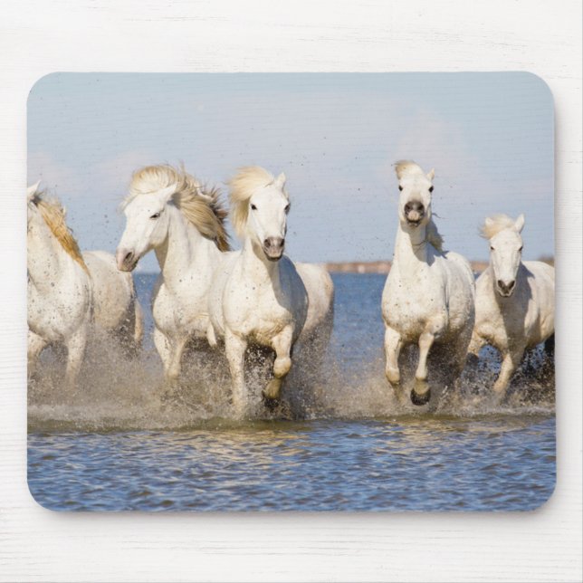 Camargue Horses Mouse Pad (Front)