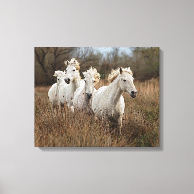 Camargue Horses Running Canvas Print (Front)