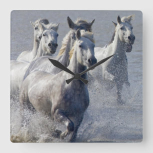 Camargue horses running on marshland to cross square wall clock