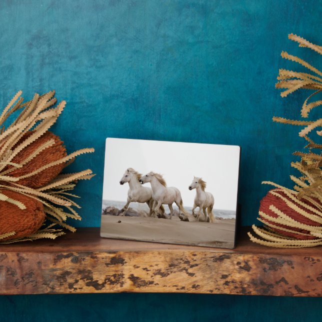 Camargue Horses Running on the Beach Plaque (Side)