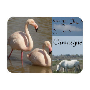 Camargue Magnet