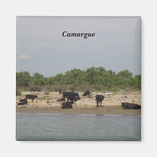 Camargue - magnet (Front)