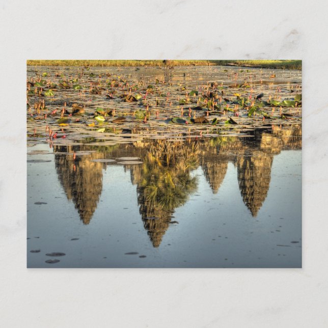 Cambodia, Angkor Wat. Reflection of temple Postcard (Front)