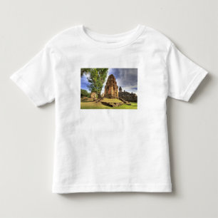 Cambodia, Angkor Wat. View of Bakong Temple. Toddler T-shirt