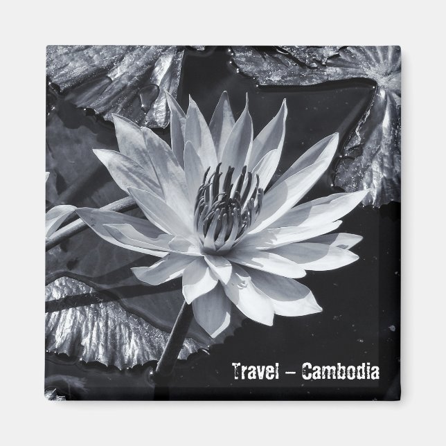 Cambodia - Lotus Flower BW (Fridge Magnet) Magnet (Front)