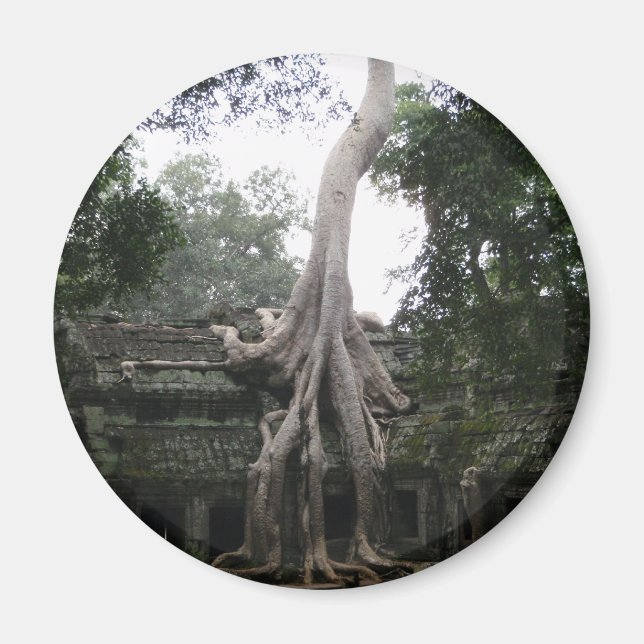 Cambodian Temple in the Jungle Magnet (Front)