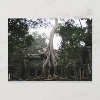 Cambodian Temple in the Jungle Postcard
