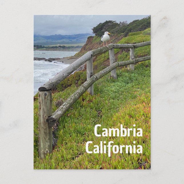 Cambria California Postcard (Front)