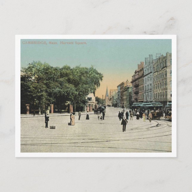 Cambridge MA, Harvard Square, 1910 Postcard (Front)