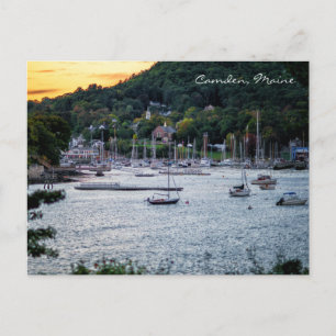 Camden Harbour Sunset Postcard