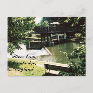 Came de rivière, carte postale de Cambridge