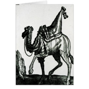 Camel