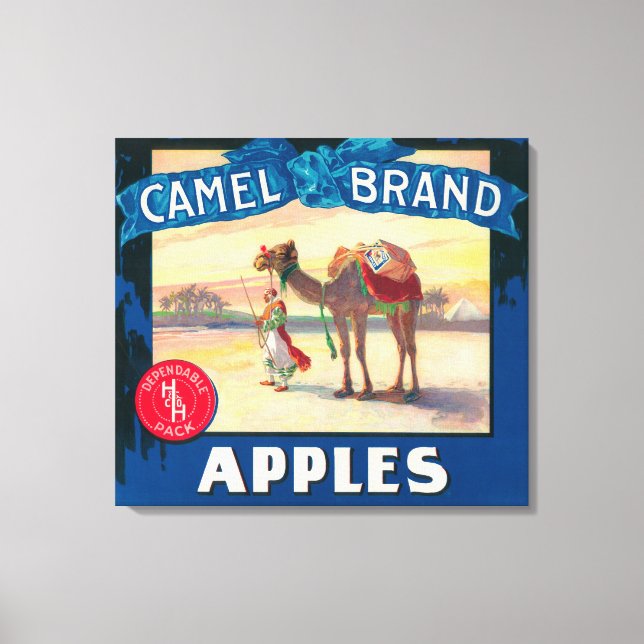 Camel Apple Label - Washington State Canvas Print (Front)