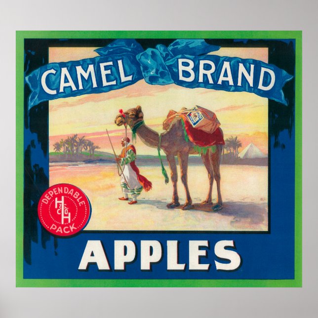 Camel Apple Label - Washington State Poster (Front)