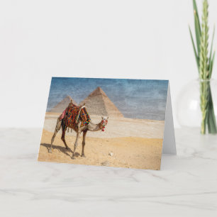 Camel at the Pyramids Card