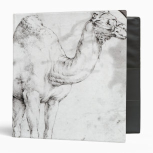 Camel Binder