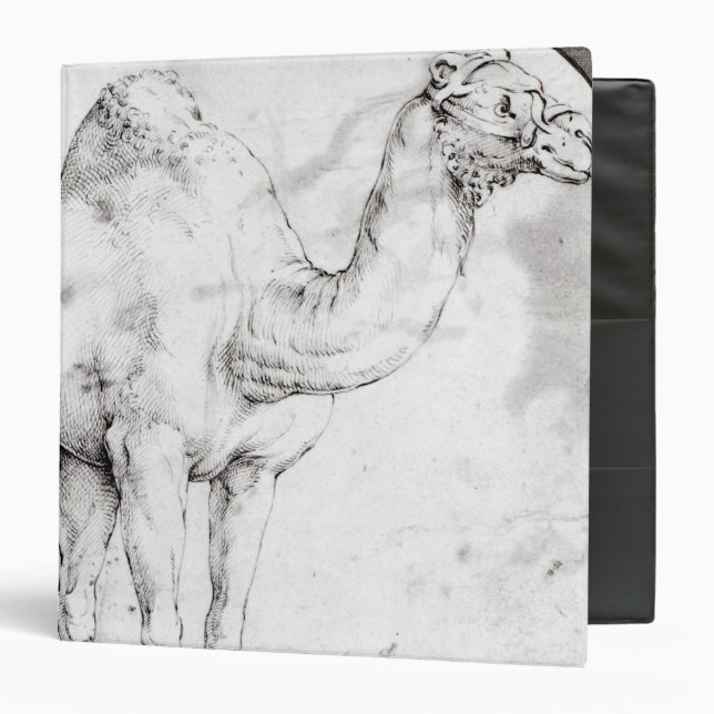 Camel Binder (Front/Inside)