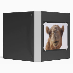 Camel Binder