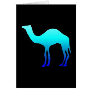Camel bleu