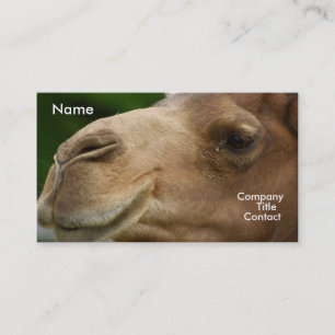 Camel Business Card
