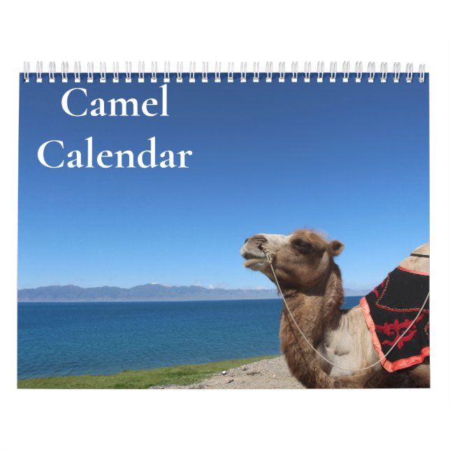 Camel Calendar 2024 (Cover)
