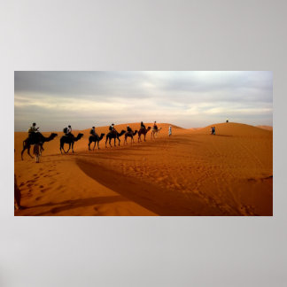 Camel caravan desert beautiful scenery poster