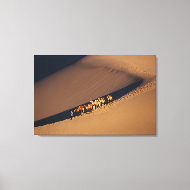 Camel caravan on the desert, Dunhuang, Gansu Canvas Print (Front)