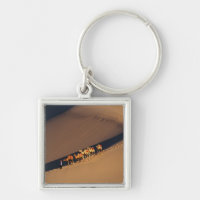 Camel caravan on the desert, Dunhuang, Gansu