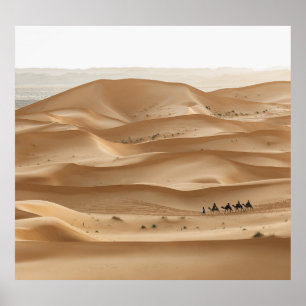 Camel caravan, Sahara sunset, Morocco Poster