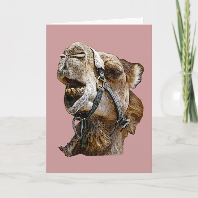 Camel Card (Front)