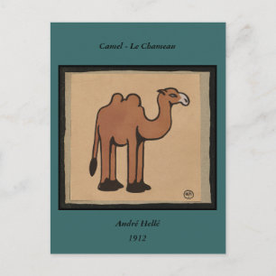 Camel - Colourful Antiquarian Book Illustration Postcard