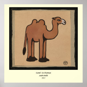 Camel - Colourful Antiquarian Book Illustration Poster