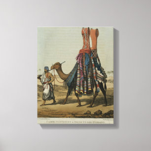 Camel Conveying a Bride to her Husband, engraved b Canvas Print