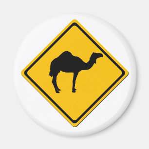 Camel Crossing Magnet