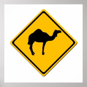 Camel Crossing Poster
