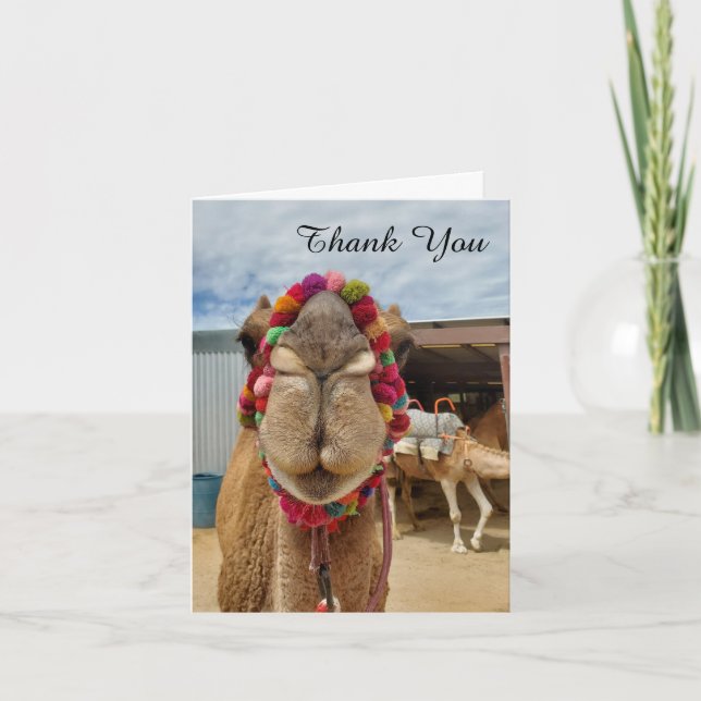 Camel Cuteness Thank You Note Card (Front)