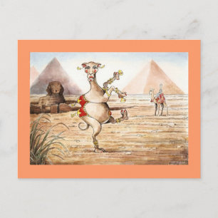 Camel Dance Postcard