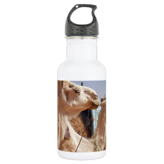 Camel Desert Middle East Peace Love Nature Destiny 532 Ml Water Bottle