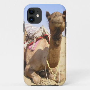 Camel Desert Middle East Peace Love Nature Destiny iPhone 11 Case